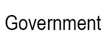 Government